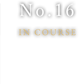 No.16IN COURSE