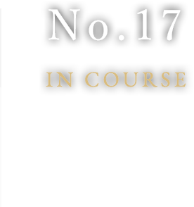 No.17IN COURSE