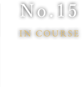 No.15IN COURSE