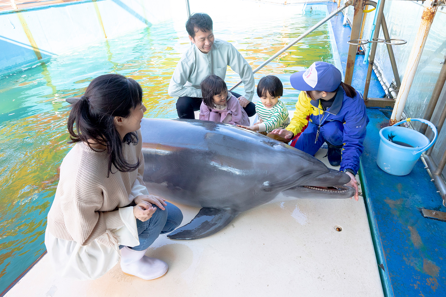 鳥羽湾めぐりとイルカ島