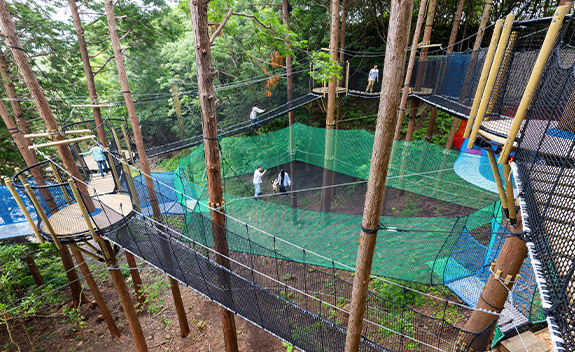 フォレストジャンプ