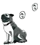 アポ